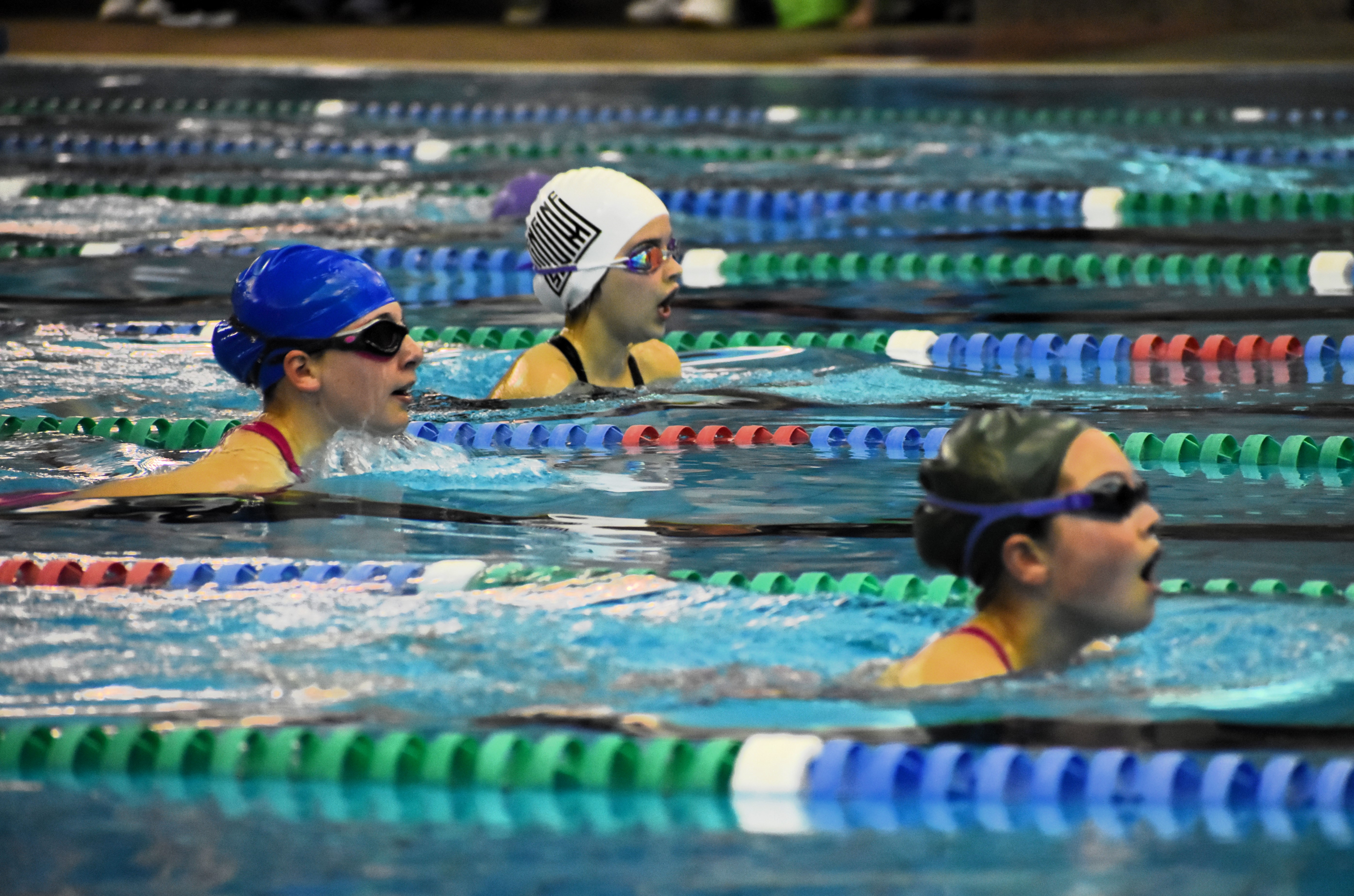 Three female student swimmers mid-race competing in the breaststroke final at The Geelong College pool.